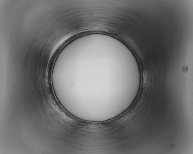 X0000108480780200904241259