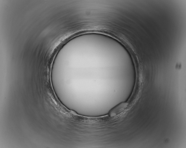 X0000108480781200904241259