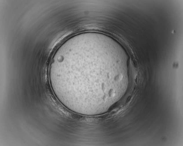 X0000108480782200904241259