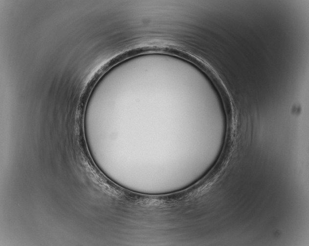 X0000108480783200904241259