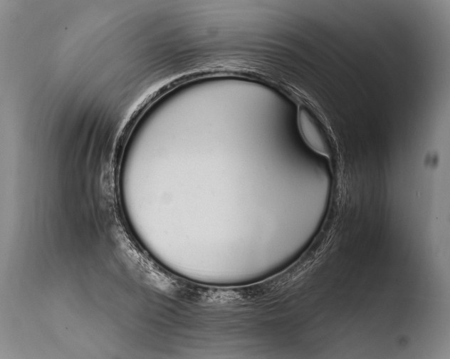 X0000108480784200904241259