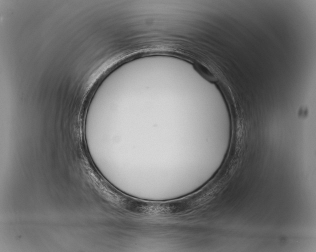X0000108480789200904241259