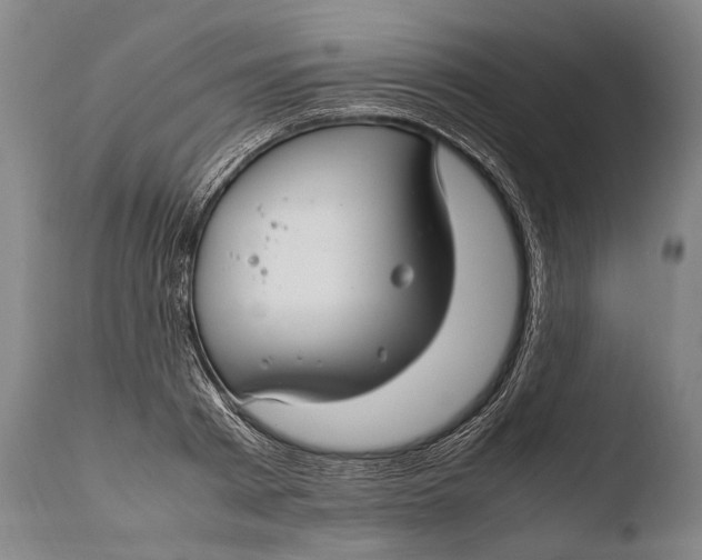 X0000108480793200904241259