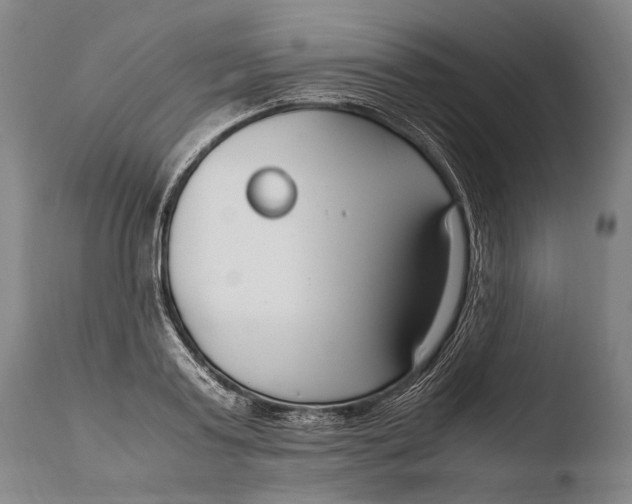 X0000108480795200904241259
