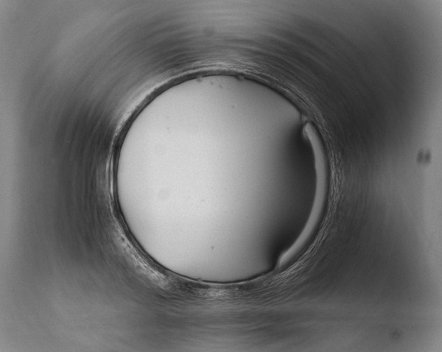 X0000108480796200904241259