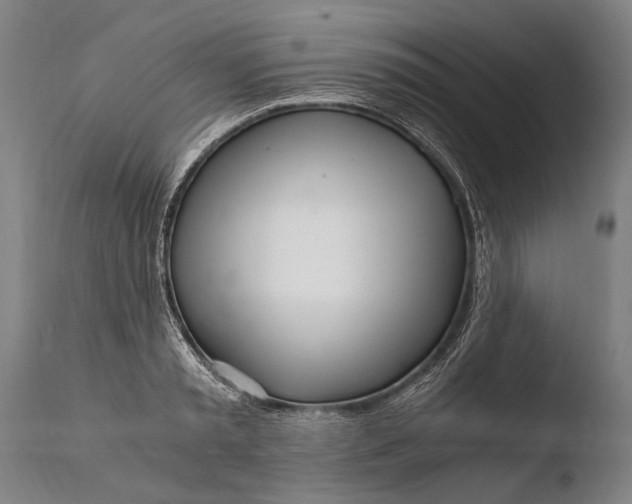 X0000108480797200904241259