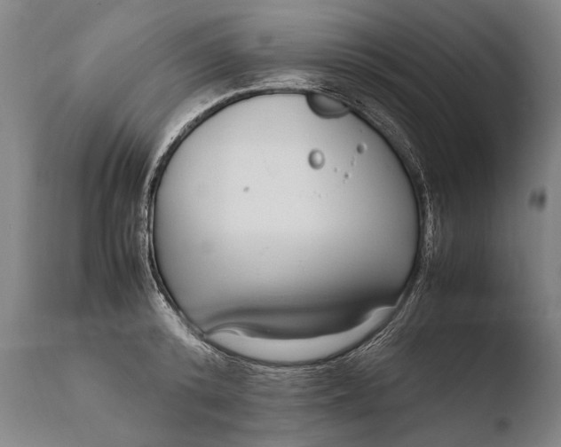 X0000108480800200904241259