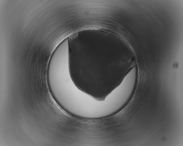 X0000108480802200904241259