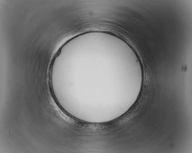 X0000108480803200904241259