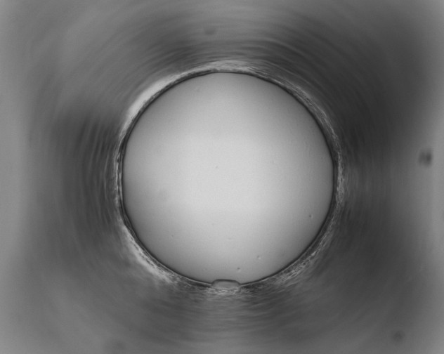 X0000108480808200904241259