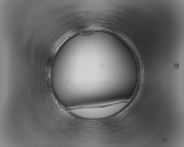 X0000108480809200904241259