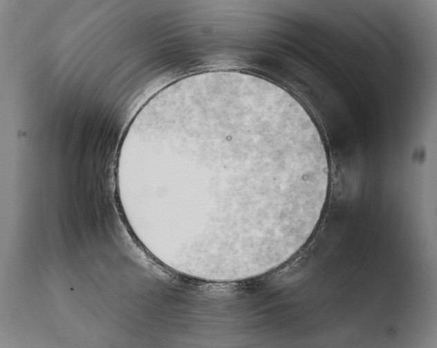 X0000108480810200904241259