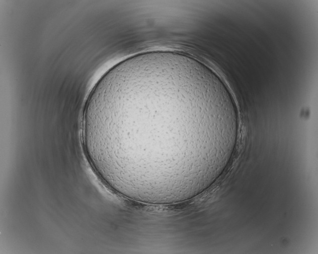 X0000108480811200904241259