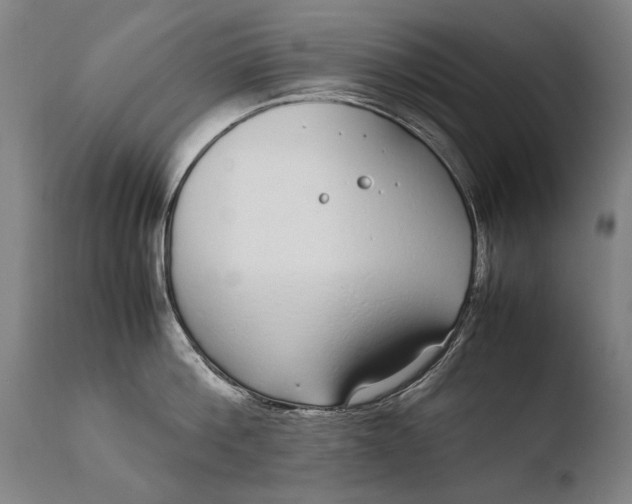 X0000108480812200904241259