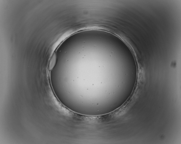 X0000108480813200904241259