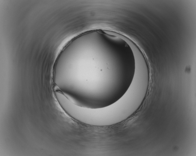 X0000108480815200904241258