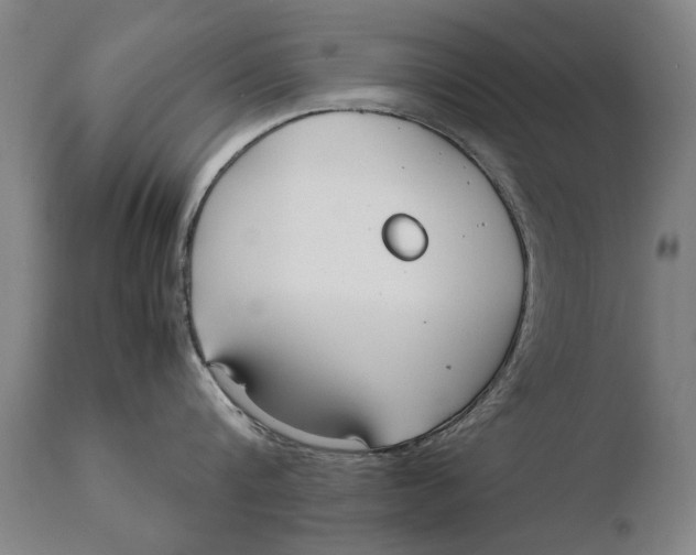 X0000108480816200904241258