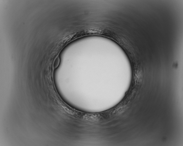 X0000108480817200904241257