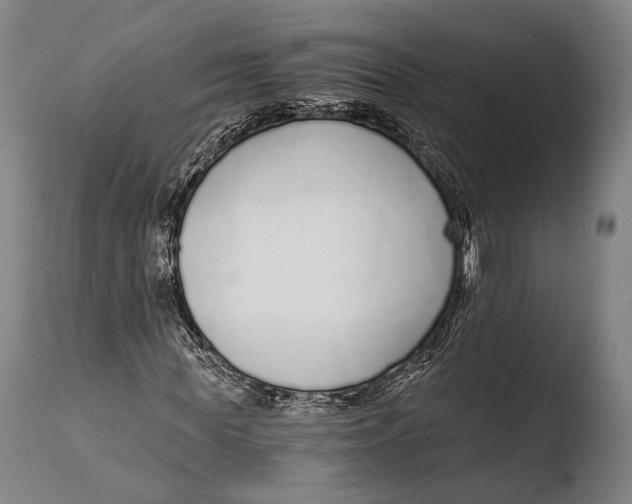 X0000108480819200904241257