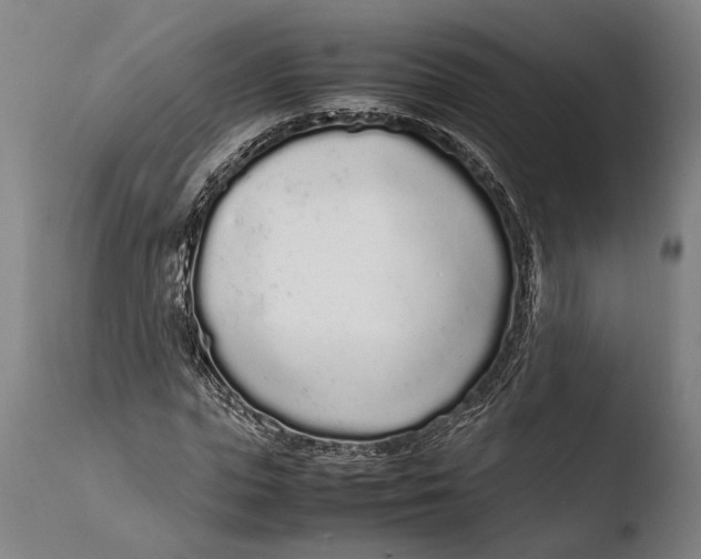 X0000108480823200904241257