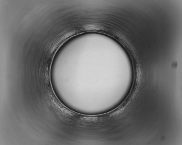 X0000108480825200904241258