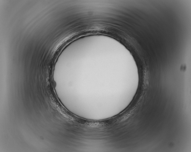 X0000108480826200904241258