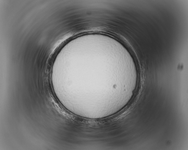 X0000108480827200904241258