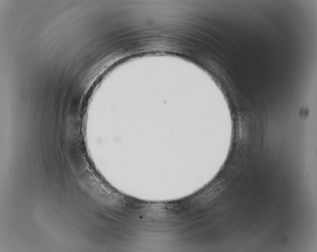 X0000108480828200904241258