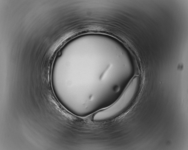 X0000108480829200904241258
