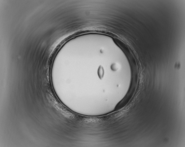 X0000108480830200904241258