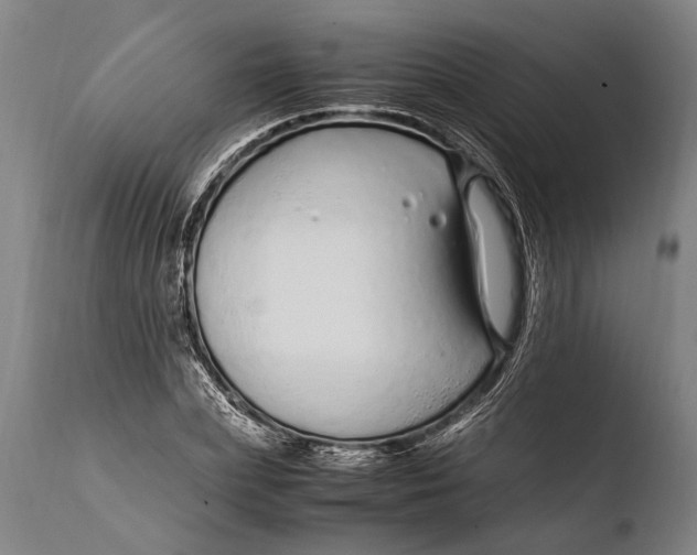 X0000108480831200904241258