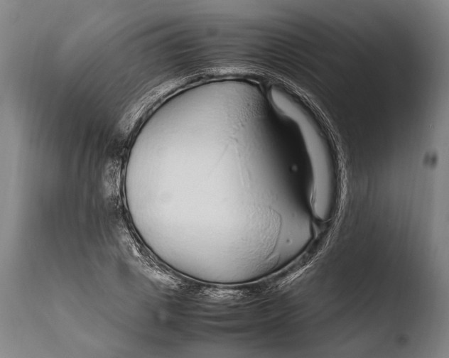 X0000108480833200904241258