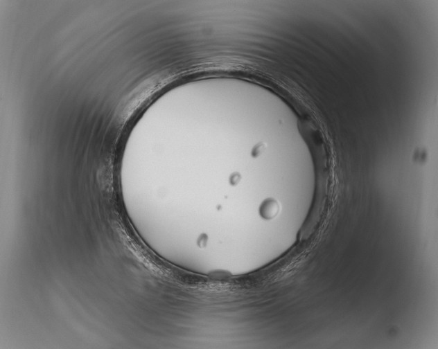 X0000108480834200904241258