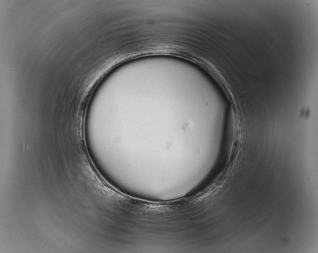 X0000108480835200904241258