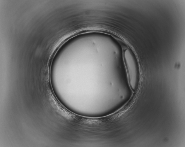 X0000108480837200904241258