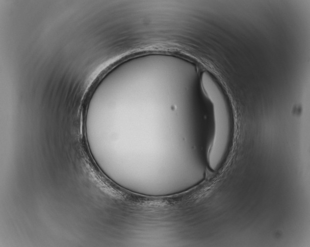 X0000108480838200904241258