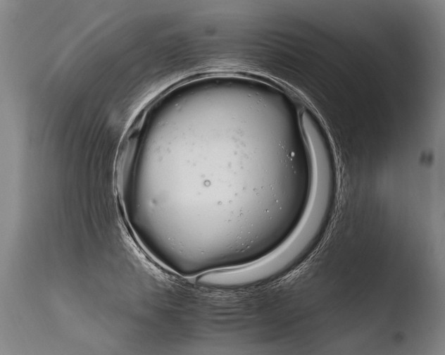 X0000108480839200904241258