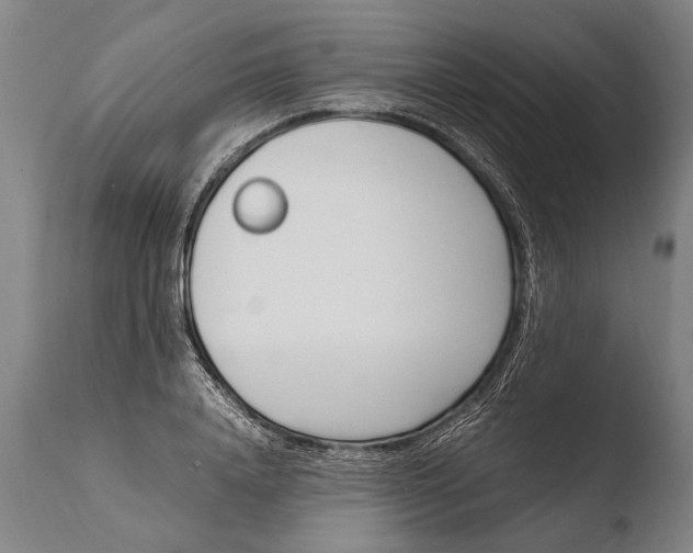 X0000108480840200904241258