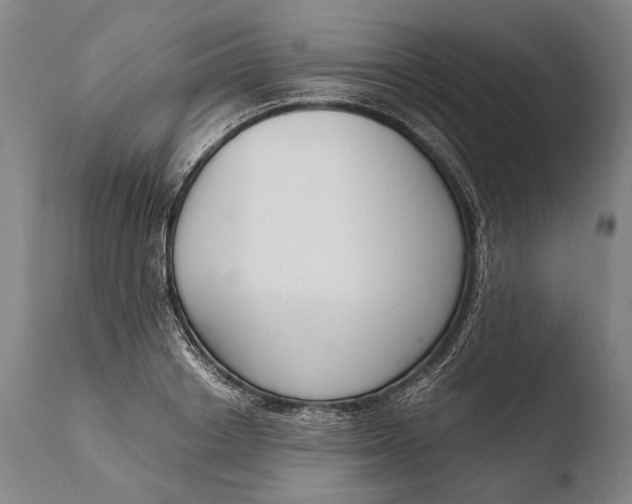 X0000108480842200904241258