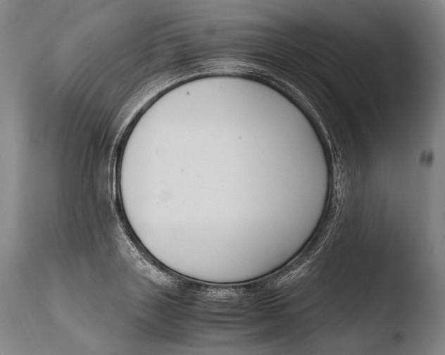 X0000108480843200904241258