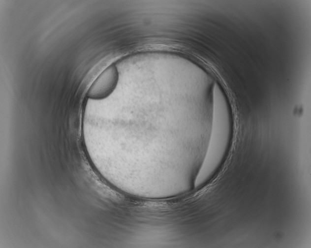 X0000108480844200904241258
