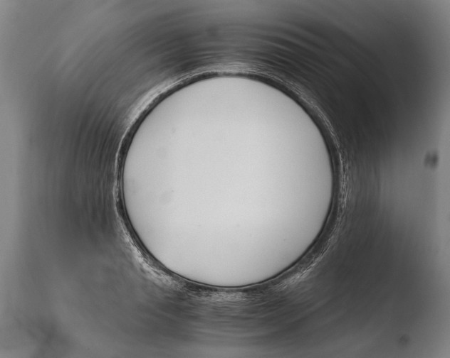 X0000108480845200904241258