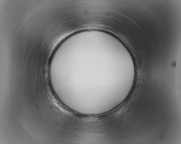 X0000108480846200904241258