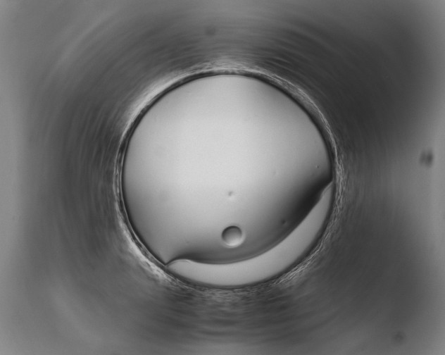 X0000108480847200904241258