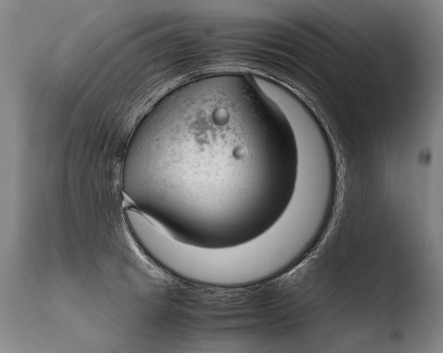 X0000108480849200904241258