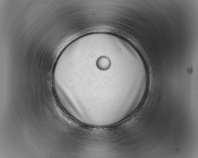 X0000108480850200904241258