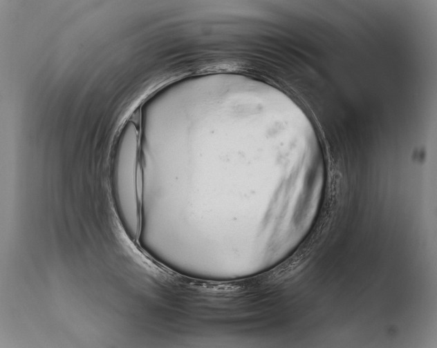 X0000108480851200904241258