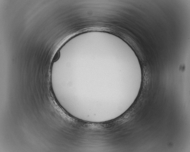 X0000108480852200904241258