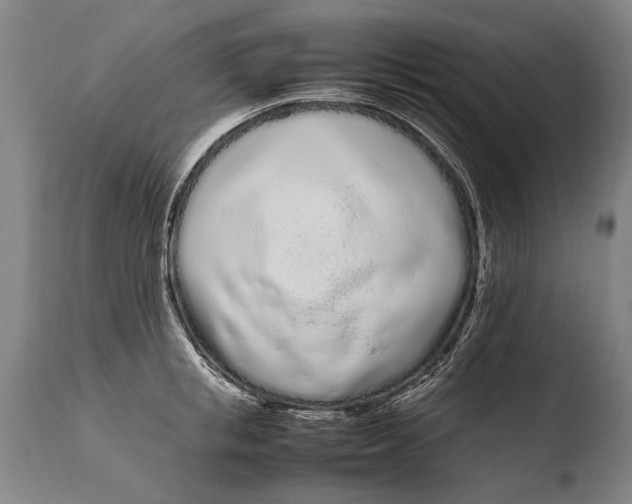 X0000108480853200904241258