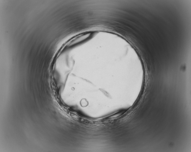 X0000108480854200904241258